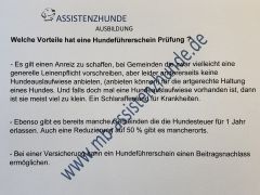 Führerschein Hunde Prüfung Jetzt den Test bestehen