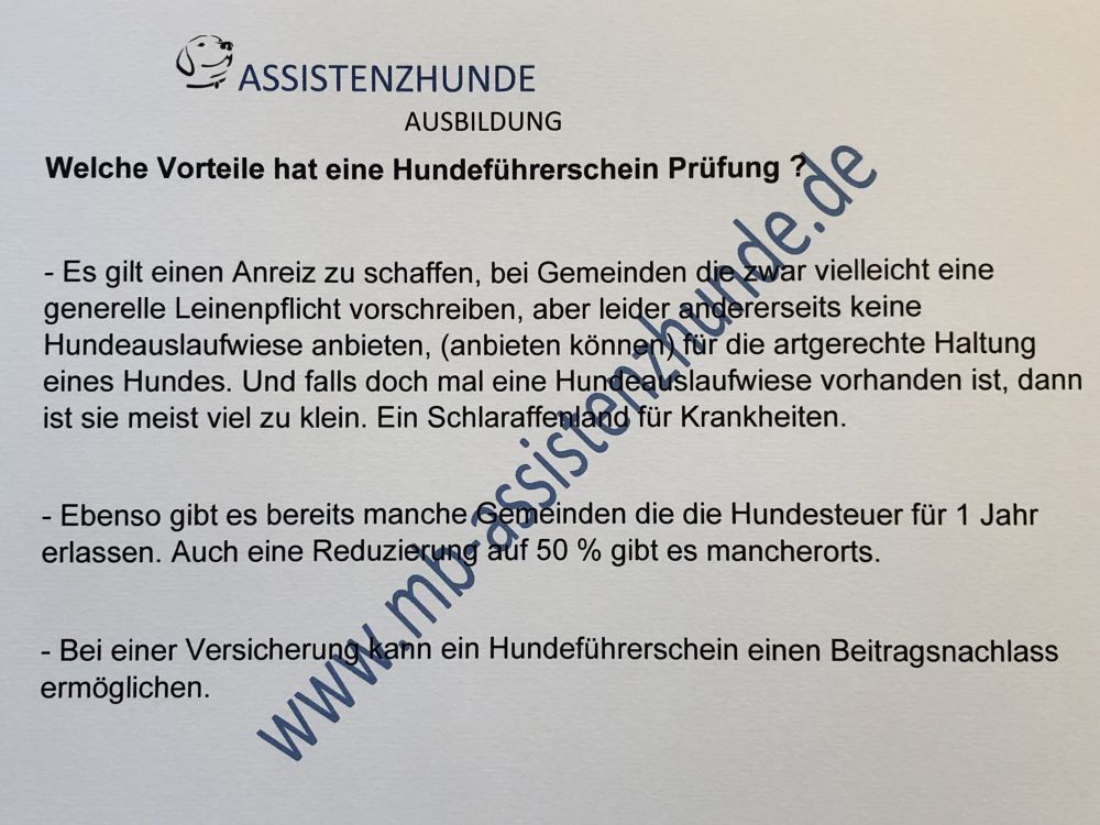 fuhrerschein-hunde-prufung-jetzt-den-test-bestehen