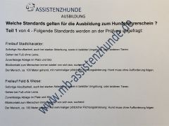 Standards Prüfung Hundeführerschein Die Erfolgsfor