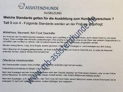 Standards Prüfung Hundeführerschein Tipps Tricks f