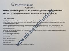 Standards Prüfung Hundeführerschein Erfolgreich du